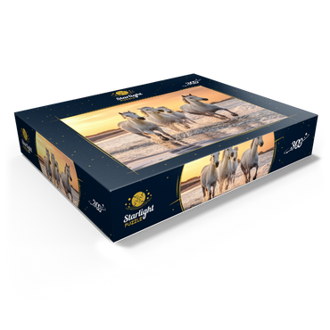 White Camargue Horses Galloping on a Beach in France 300 Jigsaw Puzzle box view1