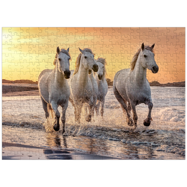 puzzleplate White Camargue Horses Galloping on a Beach in France 300 Jigsaw Puzzle