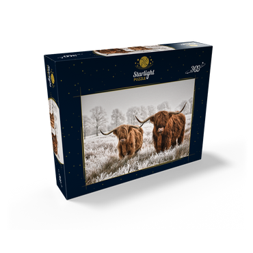 Hairy Scottish Highland cattle in a winter landscape 300 Jigsaw Puzzle box view2