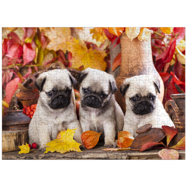 puzzleplate Pug puppies 300 Jigsaw Puzzle