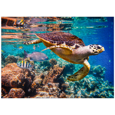 puzzleplate Hawksbill Turtle Maldives 300 Jigsaw Puzzle