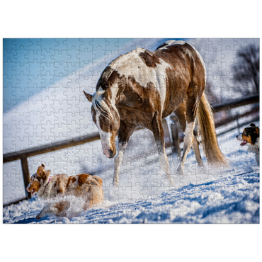 puzzleplate American Paint Horse on snow 300 Jigsaw Puzzle