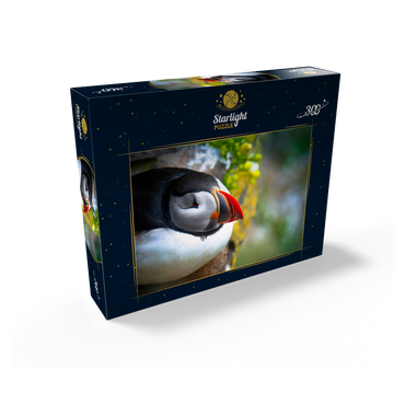 Puffin on a rock West Iceland Fjord 300 Jigsaw Puzzle box view2