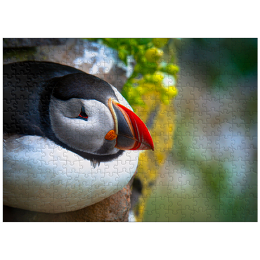 puzzleplate Puffin on a rock West Iceland Fjord 300 Jigsaw Puzzle