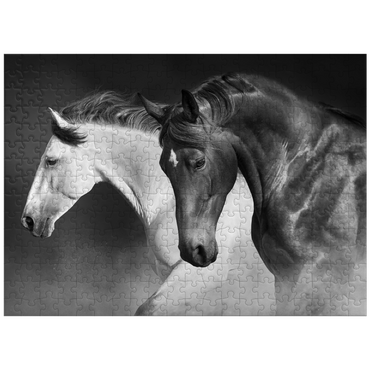 puzzleplate Horses run gallop in the desert 300 Jigsaw Puzzle