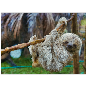 puzzleplate Sloths at San Jose Rescue Center Costa Rica 300 Jigsaw Puzzle