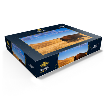 Bison / buffalo running in the rolling hills of the prairie 300 Jigsaw Puzzle box view1