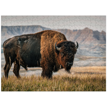 puzzleplate American Bison in South Dakota 300 Jigsaw Puzzle