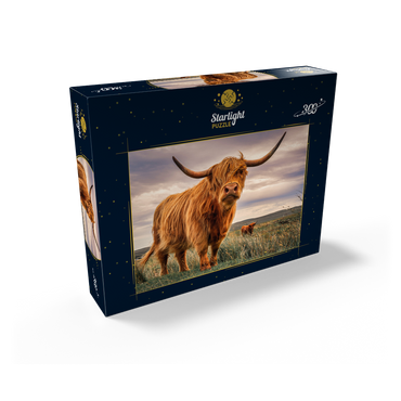 Strict pair of Highland cows caught on the north coast of Scotland 300 Jigsaw Puzzle box view2