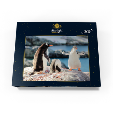 Strongster Gentoo Penguin Cute Funny Baby Chick Mama Penguins Colony Cold Wild Life Creatures Antarctica 300 Jigsaw Puzzle box view3
