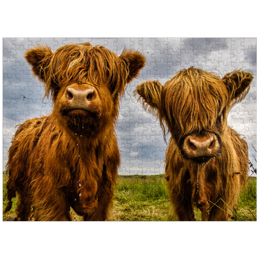 puzzleplate Two Highland Cows 300 Jigsaw Puzzle