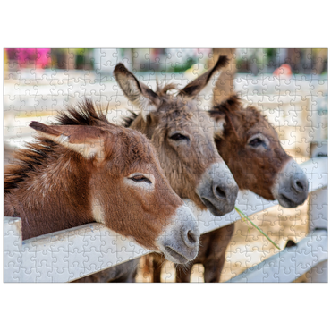 puzzleplate Three donkeys on the farm 300 Jigsaw Puzzle
