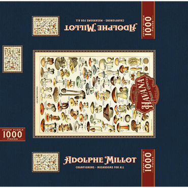 Champignons - Mushrooms For All, Vintage Art Poster, Adolphe Millot 1000 Jigsaw Puzzle box 3D Modell