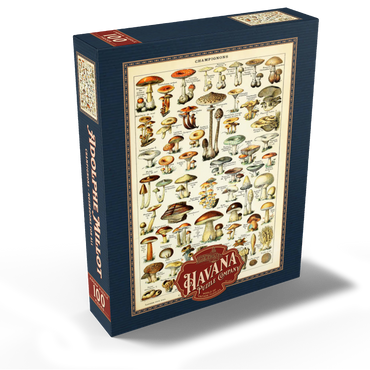 Champignons - Mushrooms For All, Vintage Art Poster, Adolphe Millot 100 Jigsaw Puzzle box view2
