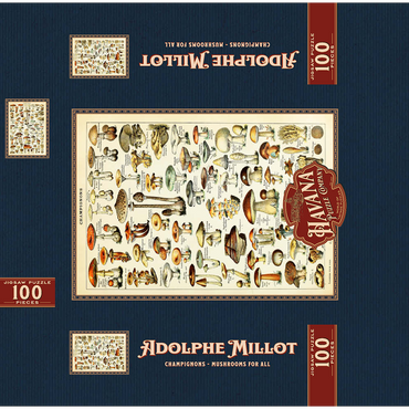 Champignons - Mushrooms For All, Vintage Art Poster, Adolphe Millot 100 Jigsaw Puzzle box 3D Modell