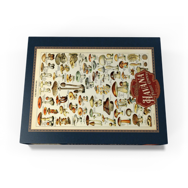 Champignons - Mushrooms For All, Vintage Art Poster, Adolphe Millot 500 Jigsaw Puzzle box view3