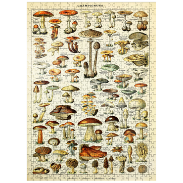 puzzleplate Champignons - Mushrooms For All, Vintage Art Poster, Adolphe Millot 500 Jigsaw Puzzle