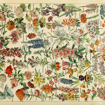 Fleurs - Flowers For All, Vintage Art Poster, Adolphe Millot 1000 Jigsaw Puzzle 3D Modell