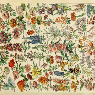 Fleurs - Flowers For All, Vintage Art Poster, Adolphe Millot 100 Jigsaw Puzzle 3D Modell