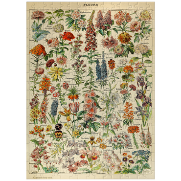 puzzleplate Fleurs - Flowers For All, Vintage Art Poster, Adolphe Millot 300 Jigsaw Puzzle