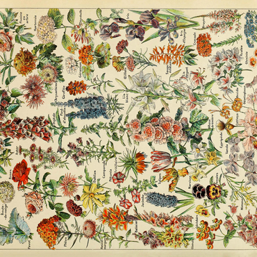 Fleurs - Flowers For All, Vintage Art Poster, Adolphe Millot 500 Jigsaw Puzzle 3D Modell