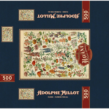 Fleurs - Flowers For All, Vintage Art Poster, Adolphe Millot 500 Jigsaw Puzzle box 3D Modell