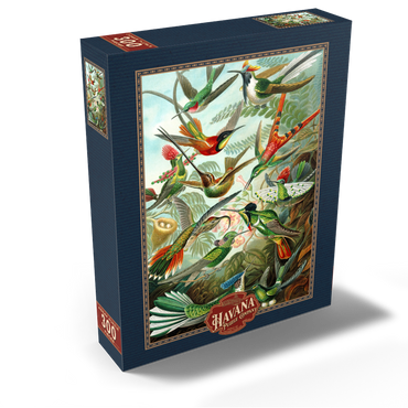 Hummingbirds and Trochilidae, Vintage Art Poster, Ernst Haeckel 300 Jigsaw Puzzle box view2
