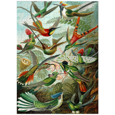 puzzleplate Hummingbirds and Trochilidae, Vintage Art Poster, Ernst Haeckel 300 Jigsaw Puzzle