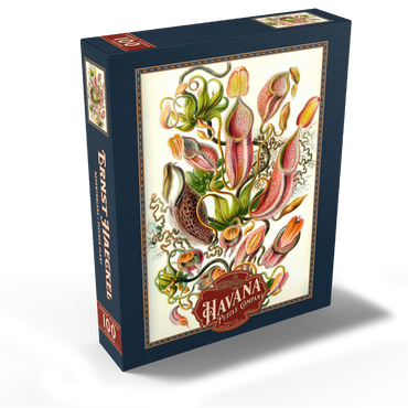 Nepenthaceae - Pitcher Plant, Vintage Art Poster, Ernst Haeckel 100 Jigsaw Puzzle box view1