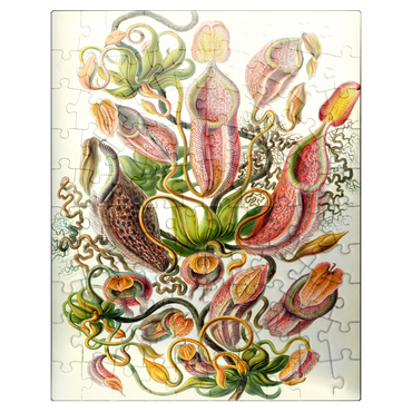 puzzleplate Nepenthaceae - Pitcher Plant, Vintage Art Poster, Ernst Haeckel 100 Jigsaw Puzzle