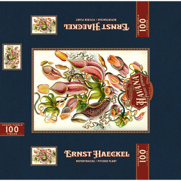 Nepenthaceae - Pitcher Plant, Vintage Art Poster, Ernst Haeckel 100 Jigsaw Puzzle box 3D Modell