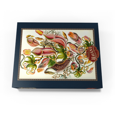 Nepenthaceae - Pitcher Plant, Vintage Art Poster, Ernst Haeckel 300 Jigsaw Puzzle box view3