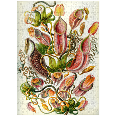 puzzleplate Nepenthaceae - Pitcher Plant, Vintage Art Poster, Ernst Haeckel 300 Jigsaw Puzzle