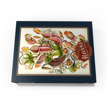 Nepenthaceae - Pitcher Plant, Vintage Art Poster, Ernst Haeckel 500 Jigsaw Puzzle box view1