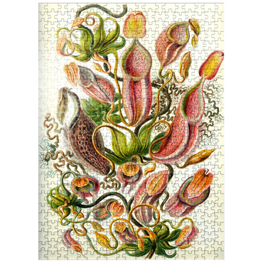 puzzleplate Nepenthaceae - Pitcher Plant, Vintage Art Poster, Ernst Haeckel 500 Jigsaw Puzzle