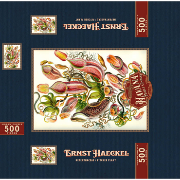 Nepenthaceae - Pitcher Plant, Vintage Art Poster, Ernst Haeckel 500 Jigsaw Puzzle box 3D Modell