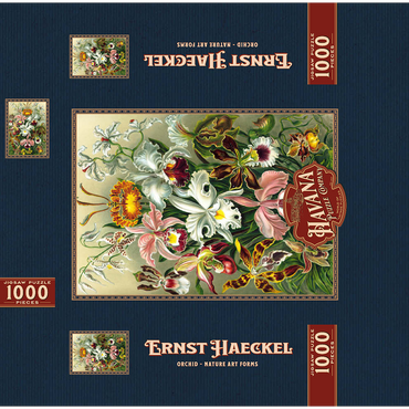 Orchid - Nature Art Forms, Vintage Art Poster, Ernst Haeckel 1000 Jigsaw Puzzle box 3D Modell