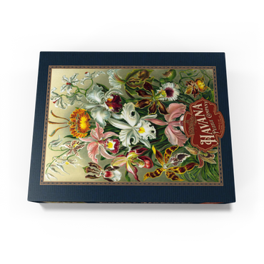 Orchid - Nature Art Forms, Vintage Art Poster, Ernst Haeckel 100 Jigsaw Puzzle box view1