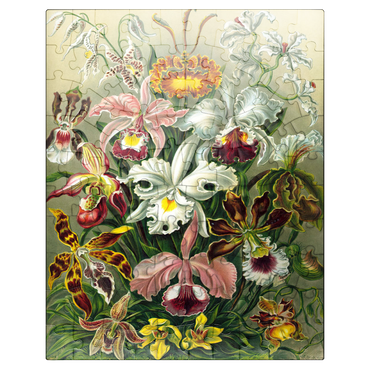 puzzleplate Orchid - Nature Art Forms, Vintage Art Poster, Ernst Haeckel 100 Jigsaw Puzzle
