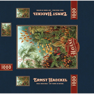 Moss (Muscinae) - Art Forms in Nature, Vintage Art Poster, Ernst Haeckel 1000 Jigsaw Puzzle box 3D Modell