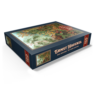 Moss (Muscinae) - Art Forms in Nature, Vintage Art Poster, Ernst Haeckel 100 Jigsaw Puzzle box view1
