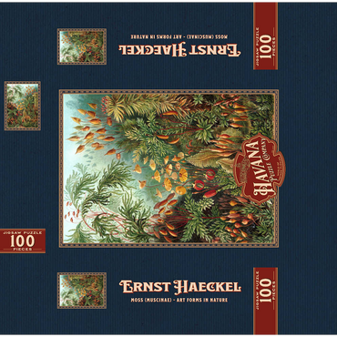 Moss (Muscinae) - Art Forms in Nature, Vintage Art Poster, Ernst Haeckel 100 Jigsaw Puzzle box 3D Modell