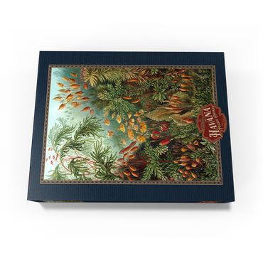 Moss (Muscinae) - Art Forms in Nature, Vintage Art Poster, Ernst Haeckel 300 Jigsaw Puzzle box view3