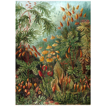 puzzleplate Moss (Muscinae) - Art Forms in Nature, Vintage Art Poster, Ernst Haeckel 300 Jigsaw Puzzle