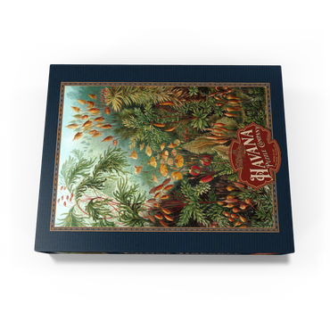Moss (Muscinae) - Art Forms in Nature, Vintage Art Poster, Ernst Haeckel 500 Jigsaw Puzzle box view1