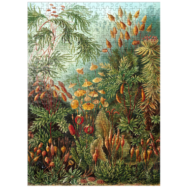 puzzleplate Moss (Muscinae) - Art Forms in Nature, Vintage Art Poster, Ernst Haeckel 500 Jigsaw Puzzle