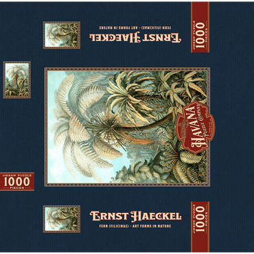 Fern (Filicinae) - Art Forms in Nature, Vintage Art Poster, Ernst Haeckel 1000 Jigsaw Puzzle box 3D Modell