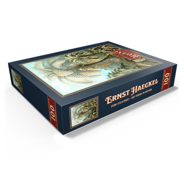 Fern (Filicinae) - Art Forms in Nature, Vintage Art Poster, Ernst Haeckel 100 Jigsaw Puzzle box view1