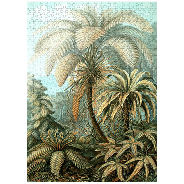 puzzleplate Fern (Filicinae) - Art Forms in Nature, Vintage Art Poster, Ernst Haeckel 500 Jigsaw Puzzle