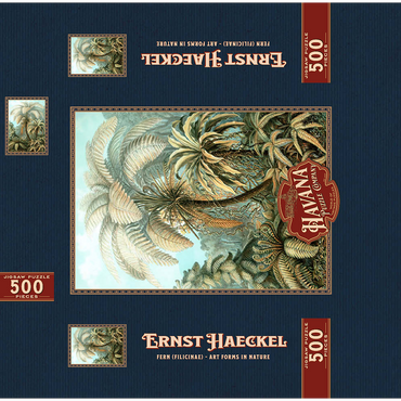 Fern (Filicinae) - Art Forms in Nature, Vintage Art Poster, Ernst Haeckel 500 Jigsaw Puzzle box 3D Modell